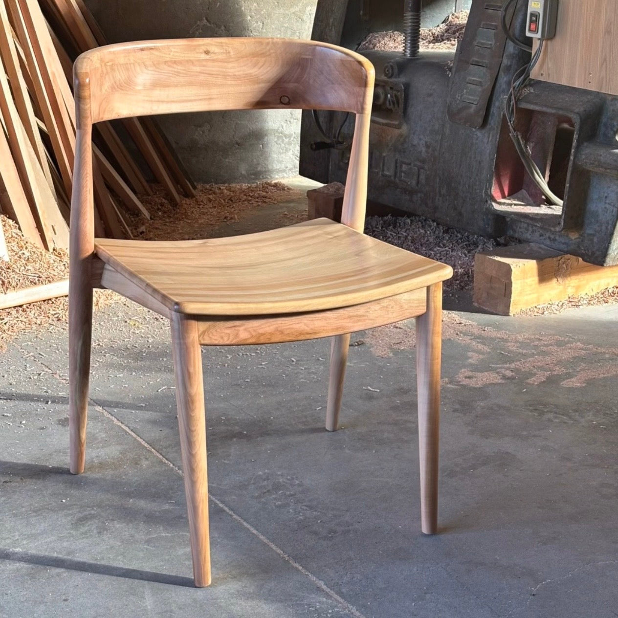 Silla Plegable en lenga