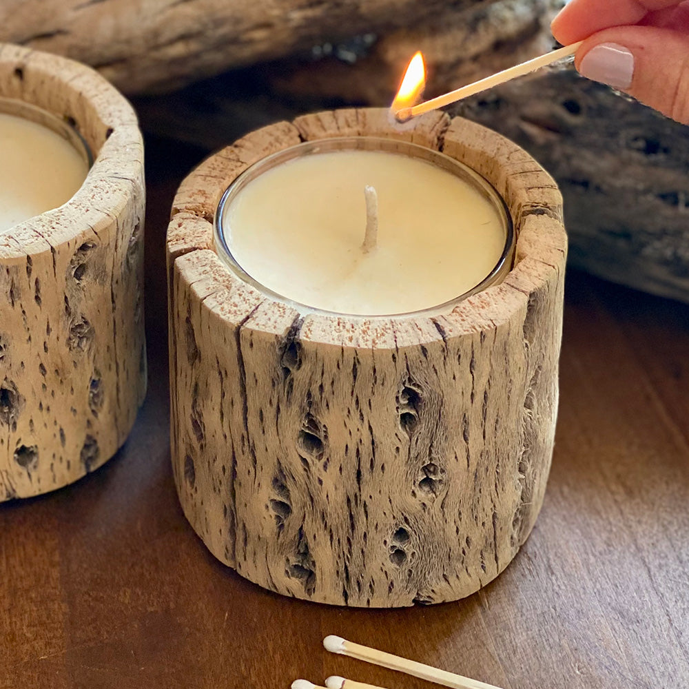 Vela de soja cactus en madera nativa