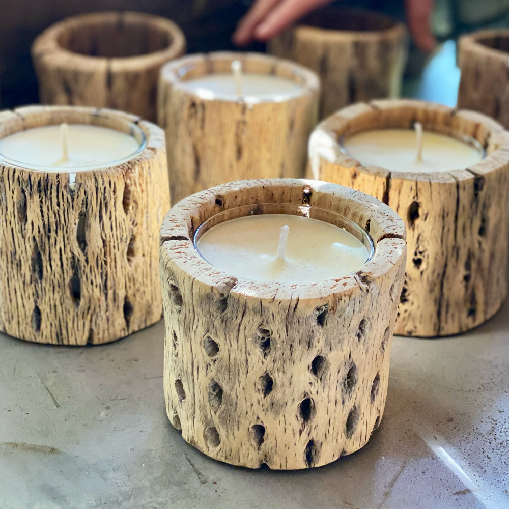 Vela de soja cactus en madera nativa