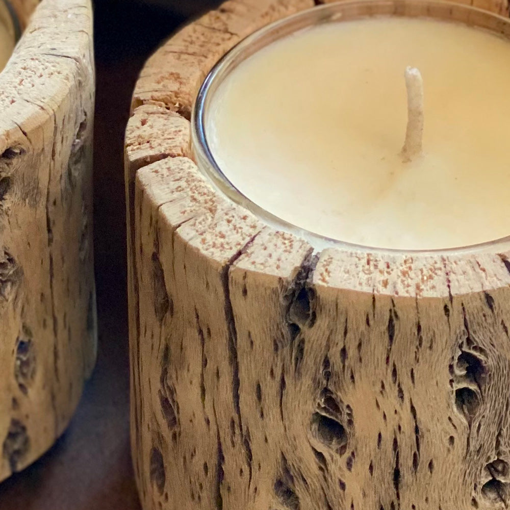 Vela de soja cactus en madera nativa