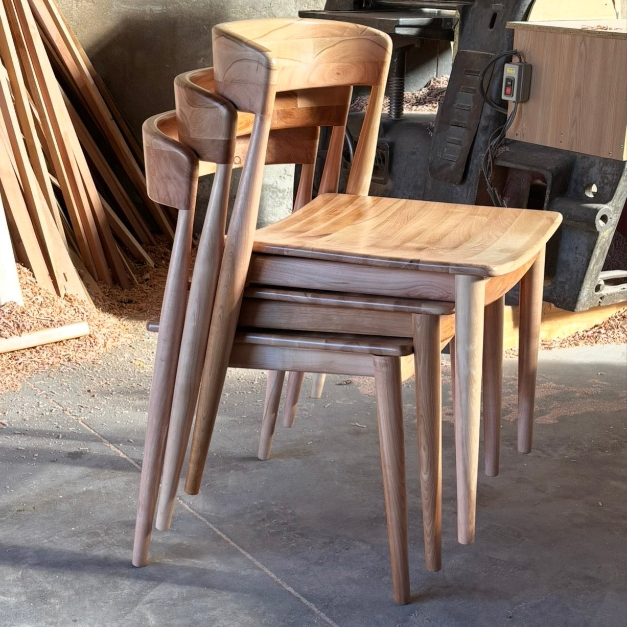 Silla Plegable en lenga