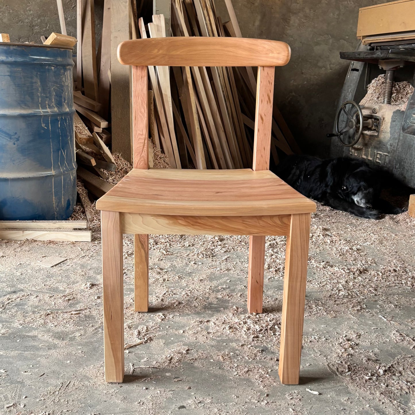 Silla Antonia en lenga